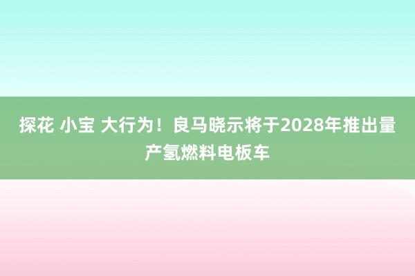 探花 小宝 大行为！良马晓示将于2028年推出量产氢燃料电板车