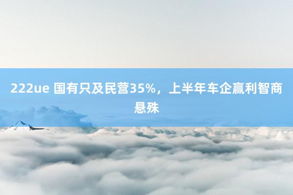 222ue 国有只及民营35%，上半年车企赢利智商悬殊