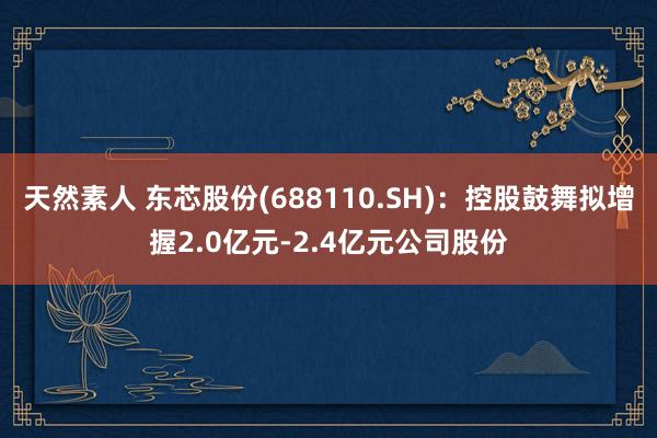 天然素人 东芯股份(688110.SH)：控股鼓舞拟增握2.0亿元-2.4亿元公司股份