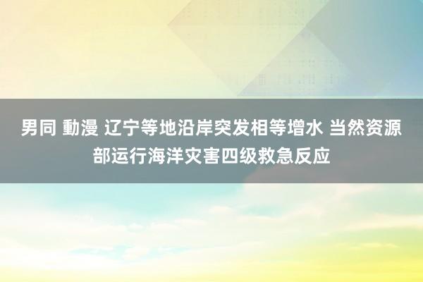 男同 動漫 辽宁等地沿岸突发相等增水 当然资源部运行海洋灾害四级救急反应