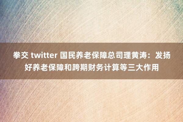 拳交 twitter 国民养老保障总司理黄涛：发扬好养老保障和跨期财务计算等三大作用