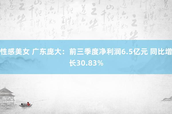 性感美女 广东庞大：前三季度净利润6.5亿元 同比增长30.83%