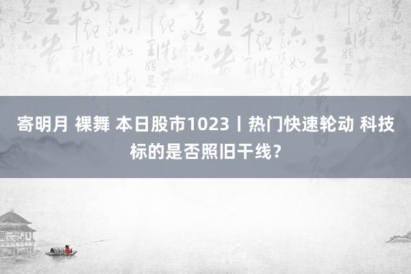 寄明月 裸舞 本日股市1023丨热门快速轮动 科技标的是否照旧干线？