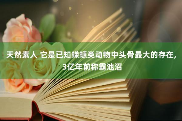 天然素人 它是已知蝾螈类动物中头骨最大的存在， 3亿年前称霸池沼