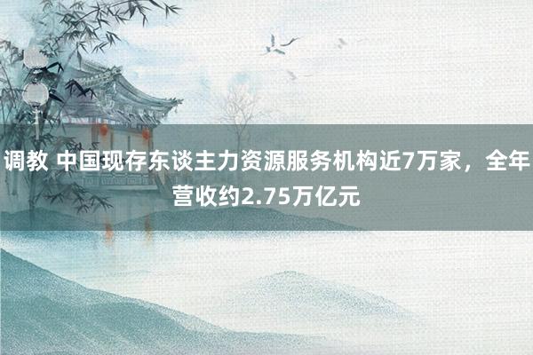 调教 中国现存东谈主力资源服务机构近7万家，全年营收约2.75万亿元