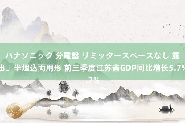 パナソニック 分電盤 リミッタースペースなし 露出・半埋込両用形 前三季度江苏省GDP同比增长5.7%