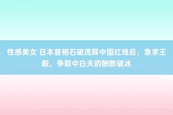 性感美女 日本首相石破茂踩中国红线后，急求王毅，争取中白天的酬酢破冰