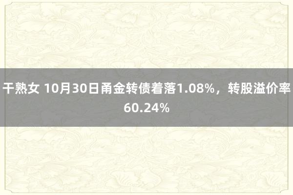 干熟女 10月30日甬金转债着落1.08%，转股溢价率60.24%