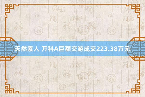 天然素人 万科A巨额交游成交223.38万元