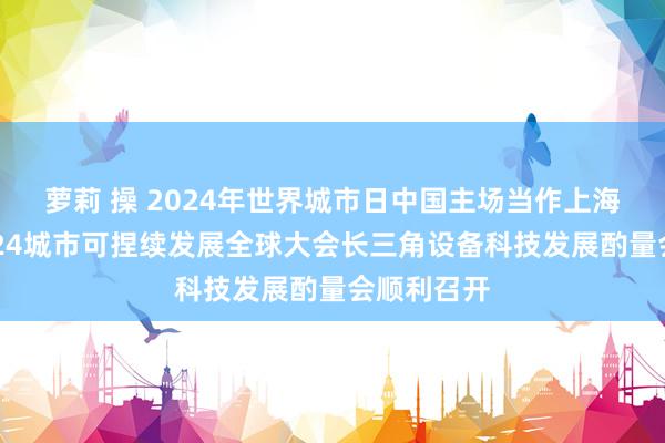 萝莉 操 2024年世界城市日中国主场当作上海主场暨2024城市可捏续发展全球大会长三角设备科技发展酌量会顺利召开