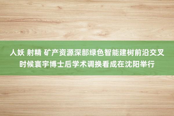 人妖 射精 矿产资源深部绿色智能建树前沿交叉时候寰宇博士后学术调换看成在沈阳举行