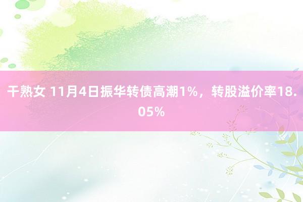 干熟女 11月4日振华转债高潮1%，转股溢价率18.05%