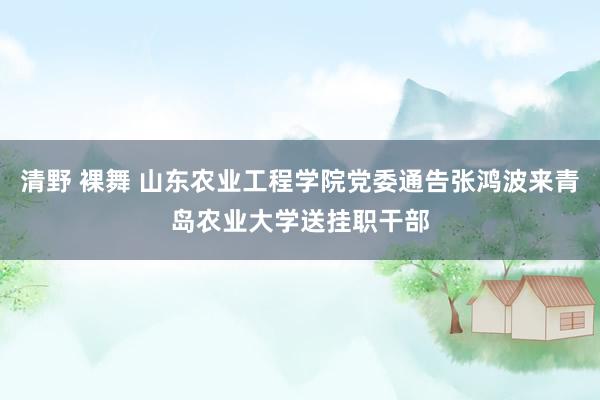 清野 裸舞 山东农业工程学院党委通告张鸿波来青岛农业大学送挂职干部