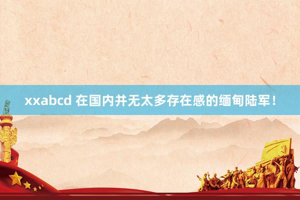 xxabcd 在国内并无太多存在感的缅甸陆军！