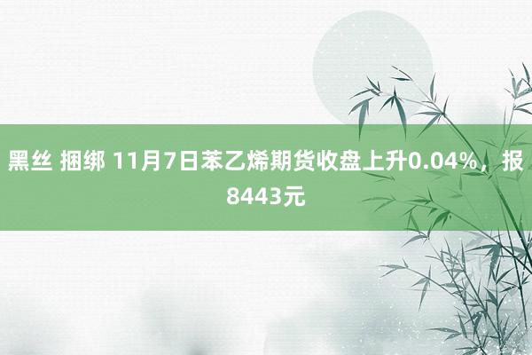 黑丝 捆绑 11月7日苯乙烯期货收盘上升0.04%，报8443元