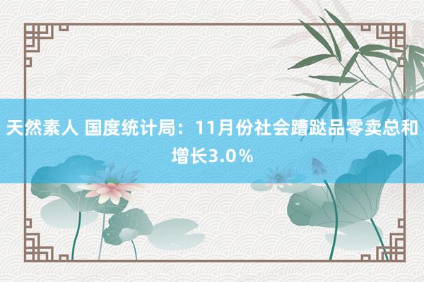 天然素人 国度统计局：11月份社会蹧跶品零卖总和增长3.0％