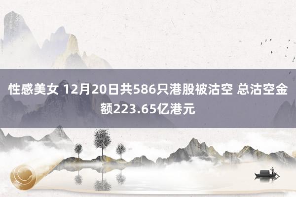 性感美女 12月20日共586只港股被沽空 总沽空金额223.65亿港元