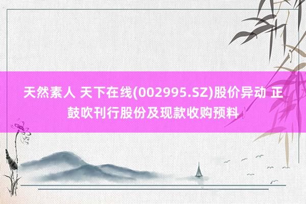 天然素人 天下在线(002995.SZ)股价异动 正鼓吹刊行股份及现款收购预料