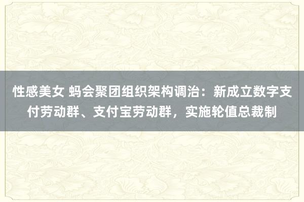 性感美女 蚂会聚团组织架构调治：新成立数字支付劳动群、支付宝劳动群，实施轮值总裁制