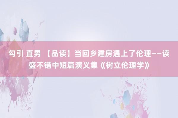 勾引 直男 【品读】当回乡建房遇上了伦理——读盛不错中短篇演义集《树立伦理学》