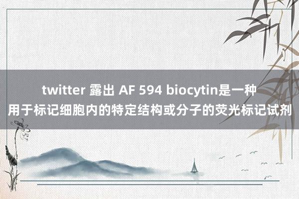 twitter 露出 AF 594 biocytin是一种用于标记细胞内的特定结构或分子的荧光标记试剂