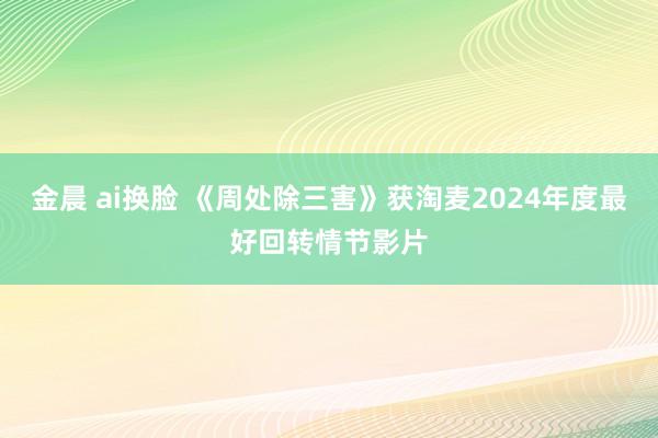 金晨 ai换脸 《周处除三害》获淘麦2024年度最好回转情节影片