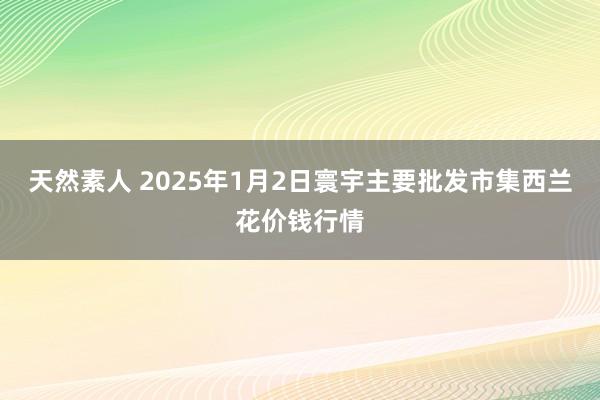 天然素人 2025年1月2日寰宇主要批发市集西兰花价钱行情