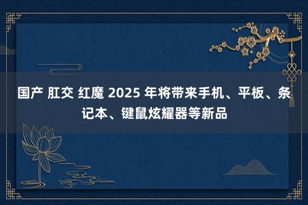 国产 肛交 红魔 2025 年将带来手机、平板、条记本、键鼠炫耀器等新品