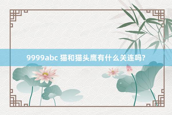 9999abc 猫和猫头鹰有什么关连吗?