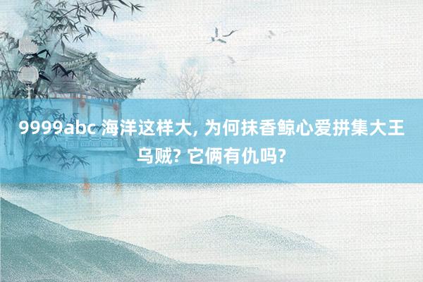 9999abc 海洋这样大， 为何抹香鲸心爱拼集大王乌贼? 它俩有仇吗?