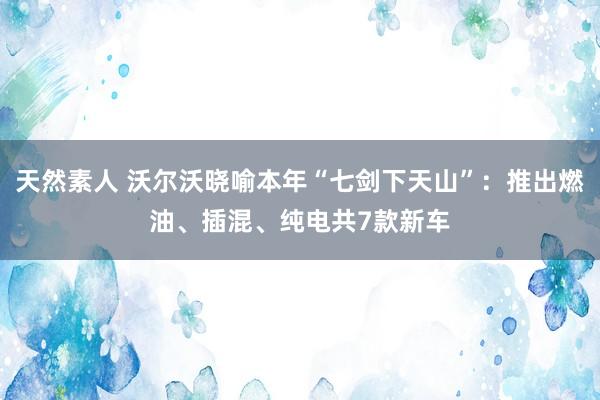 天然素人 沃尔沃晓喻本年“七剑下天山”：推出燃油、插混、纯电共7款新车