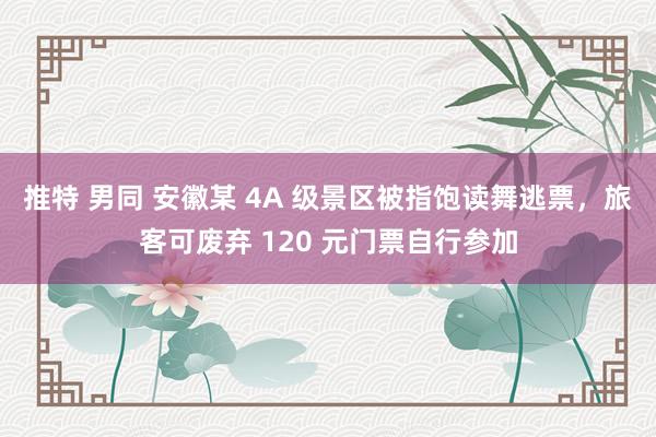 推特 男同 安徽某 4A 级景区被指饱读舞逃票，旅客可废弃 120 元门票自行参加