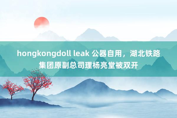 hongkongdoll leak 公器自用，湖北铁路集团原副总司理杨亮堂被双开