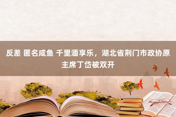 反差 匿名咸鱼 千里湎享乐，湖北省荆门市政协原主席丁岱被双开